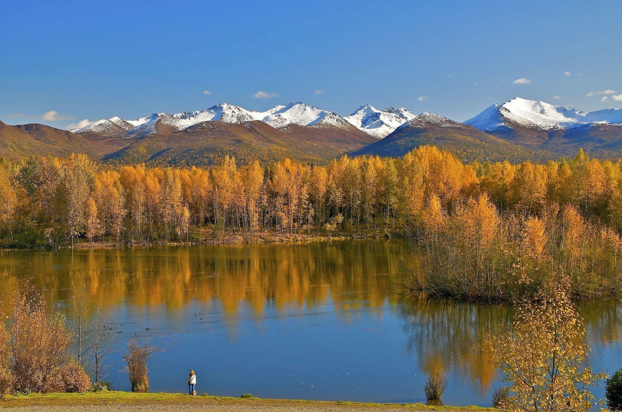 Springhill Suites Anchorage University Lake Udogodnienia zdjęcie